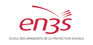 Logo EN3S